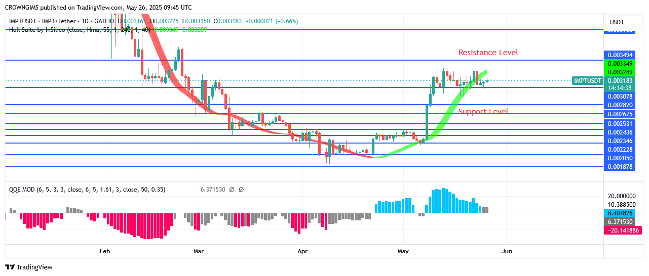 IMPTUSDT Price Is Increasing as More Investors Join
