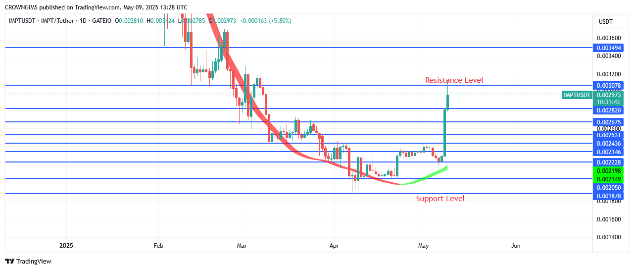 IMPTUSDT Price Is Heading Towards Moon