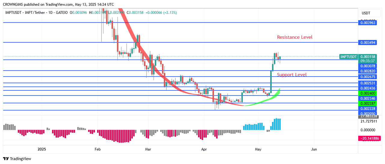 IMPTUSDT Price Is Increasing Daily