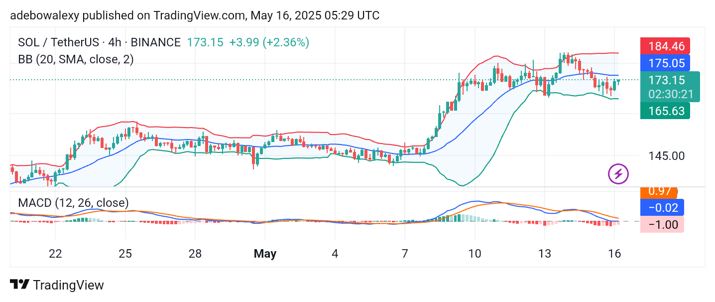 Solana (SOL) Price Prediction: SOL/USDT Starts a Bounce Above $170