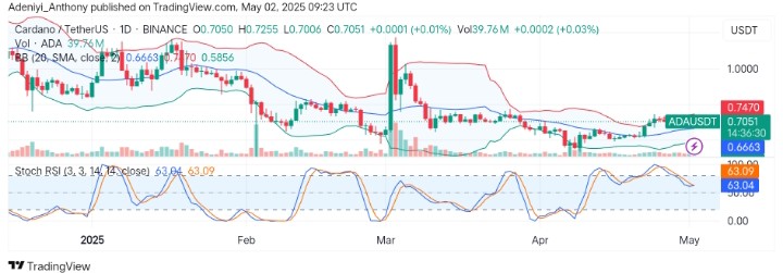 Cardano at a Crossroad: Consolidation or Reversal?