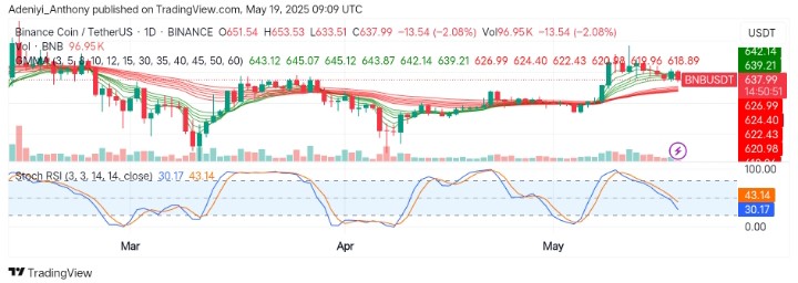 BNB (BNB/USDT) Bulls Holding the Line as Bearish Pressure Returns