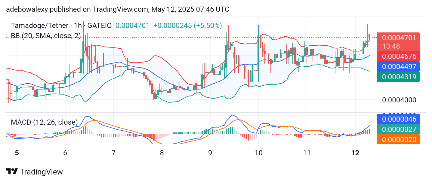 Dogecoin (DOGE) Price Prediction: DOGE/USDT Recovers, Charges Toward the $0.3000 Price Level