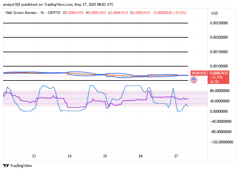 Wall Street Memes (WSM/USD) Trade Lessens, Adding Muscles
