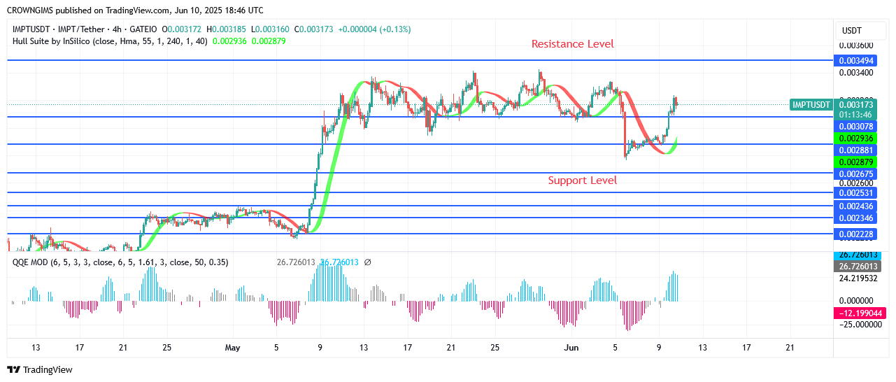 IMPTUSDT Price: Investors Are Profiting as Price Increases