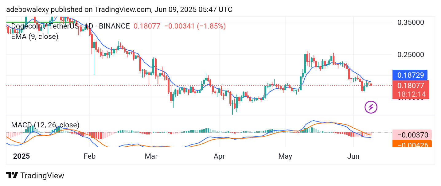 Dogecoin (DOGE) Price Prediction: DOGE/USDT Sees a Moderate Pullback Below Key Levels