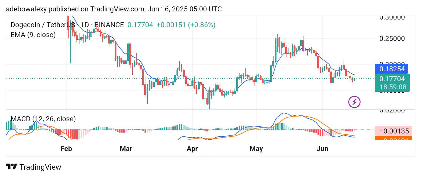 Dogecoin (DOGE) Price Prediction: DOGE/USDT Holds Above the $0.1700 Price Level