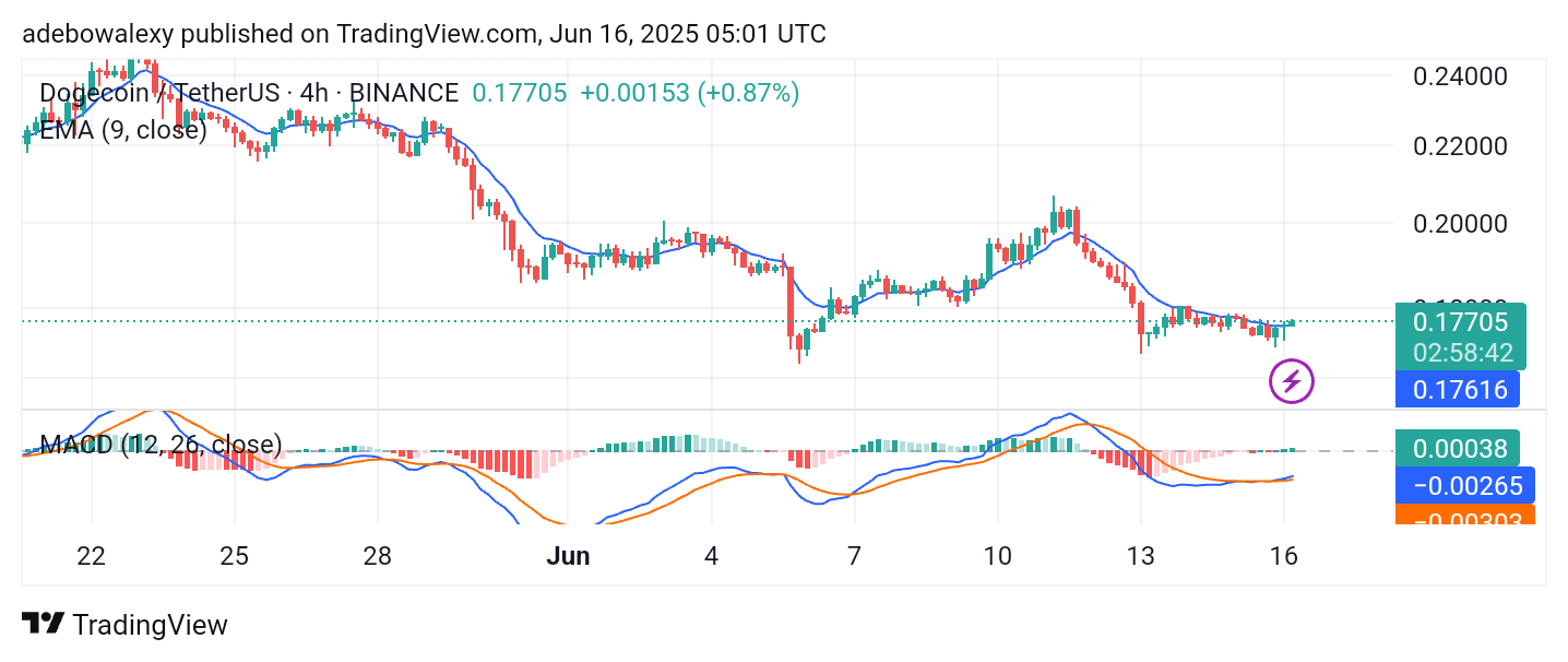 Dogecoin (DOGE) Price Prediction: DOGE/USDT Holds Above the $0.1700 Price Level
