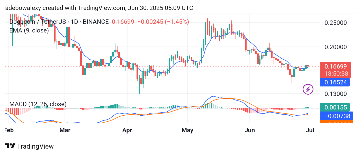 Dogecoin (DOGE) Price Prediction: DOGE/USDT Now Hovers Above 9-Day EMA