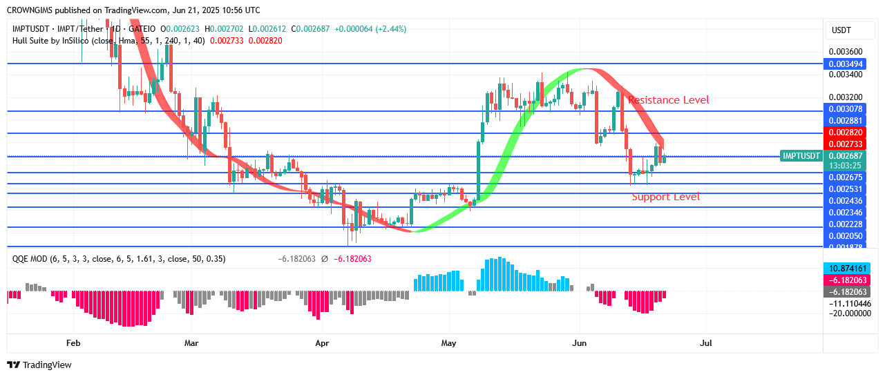 IMPTUSDT Price Increase Attracts More Investors