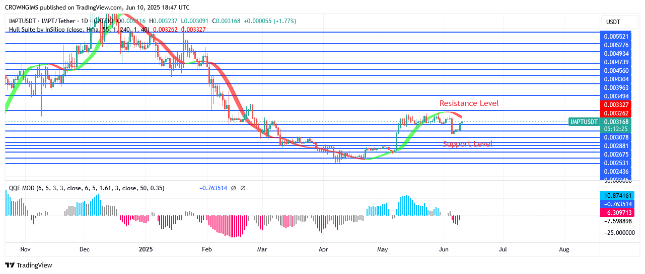 IMPTUSDT Price: Investors Are Profiting as Price Increases