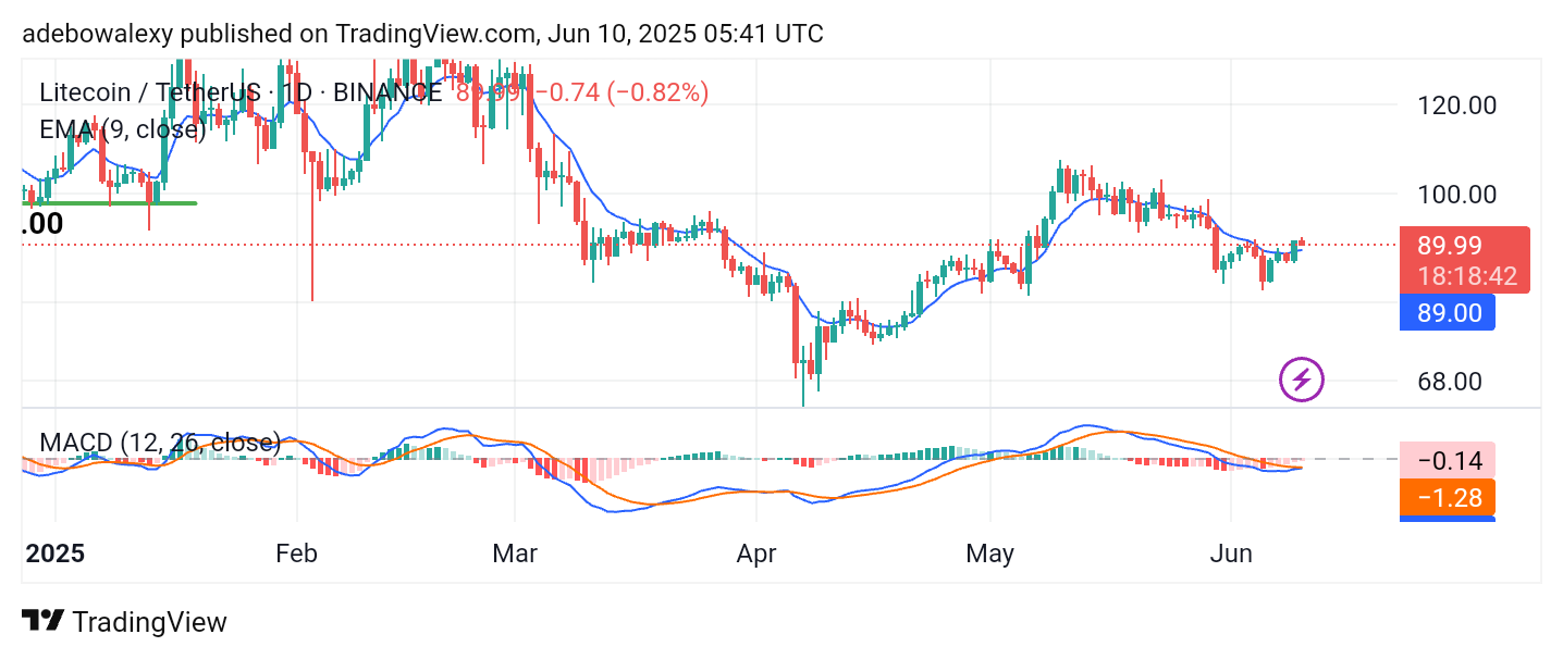 LTC/USDT May Proceed Through the $92 Mark On the Litecoin 4-hour chart, the market appears to be consistently striving for higher ground.