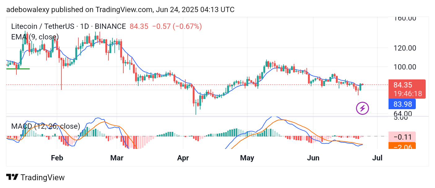 Litecoin (LTC) Price Prediction: LTC/USDT Rebounds Off the $80 Mark