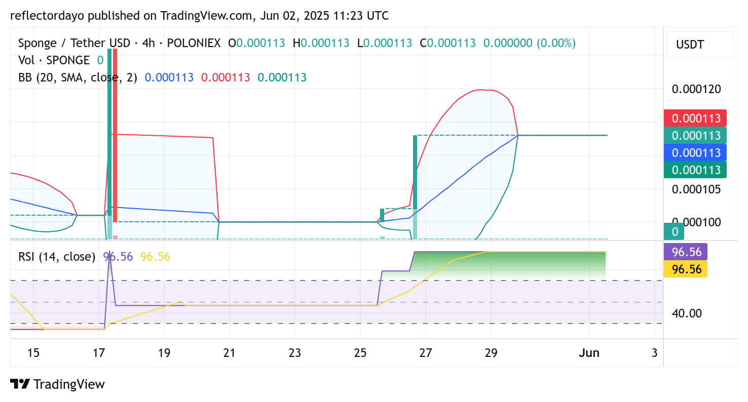 SPONGE ($SPONGE) Maintains Position Above Key Threshold, Momentum Builds for Further Gains