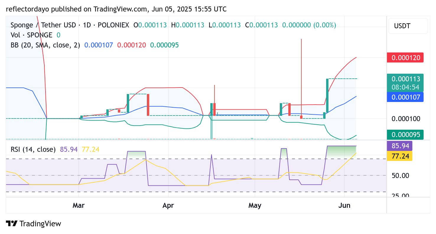 SPONGE ($SPONGE) Maintains Strength Above Key Level, Bullish Continuation in Sight