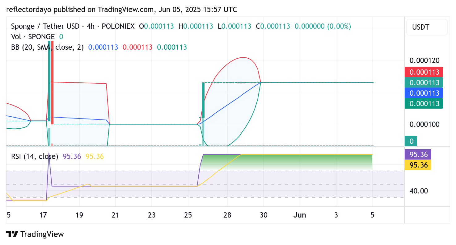 SPONGE ($SPONGE) Maintains Strength Above Key Level, Bullish Continuation in Sight
