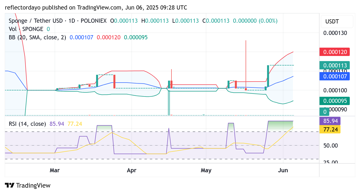 SPONGE/USD ($SPONGE) Holds Ground Above $0.00011 as Traders Brace for Major Move