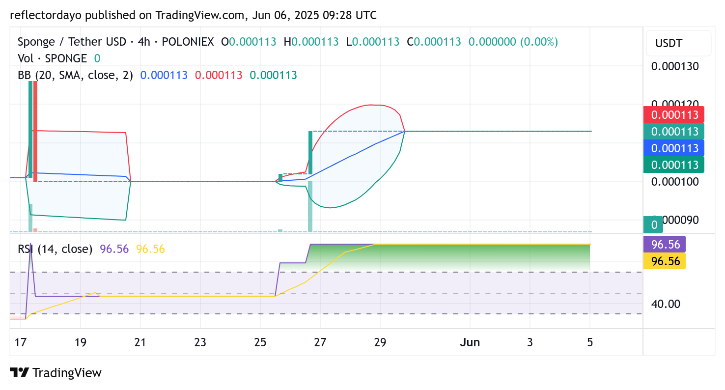 SPONGE/USD ($SPONGE) Holds Ground Above $0.00011 as Traders Brace for Major Move