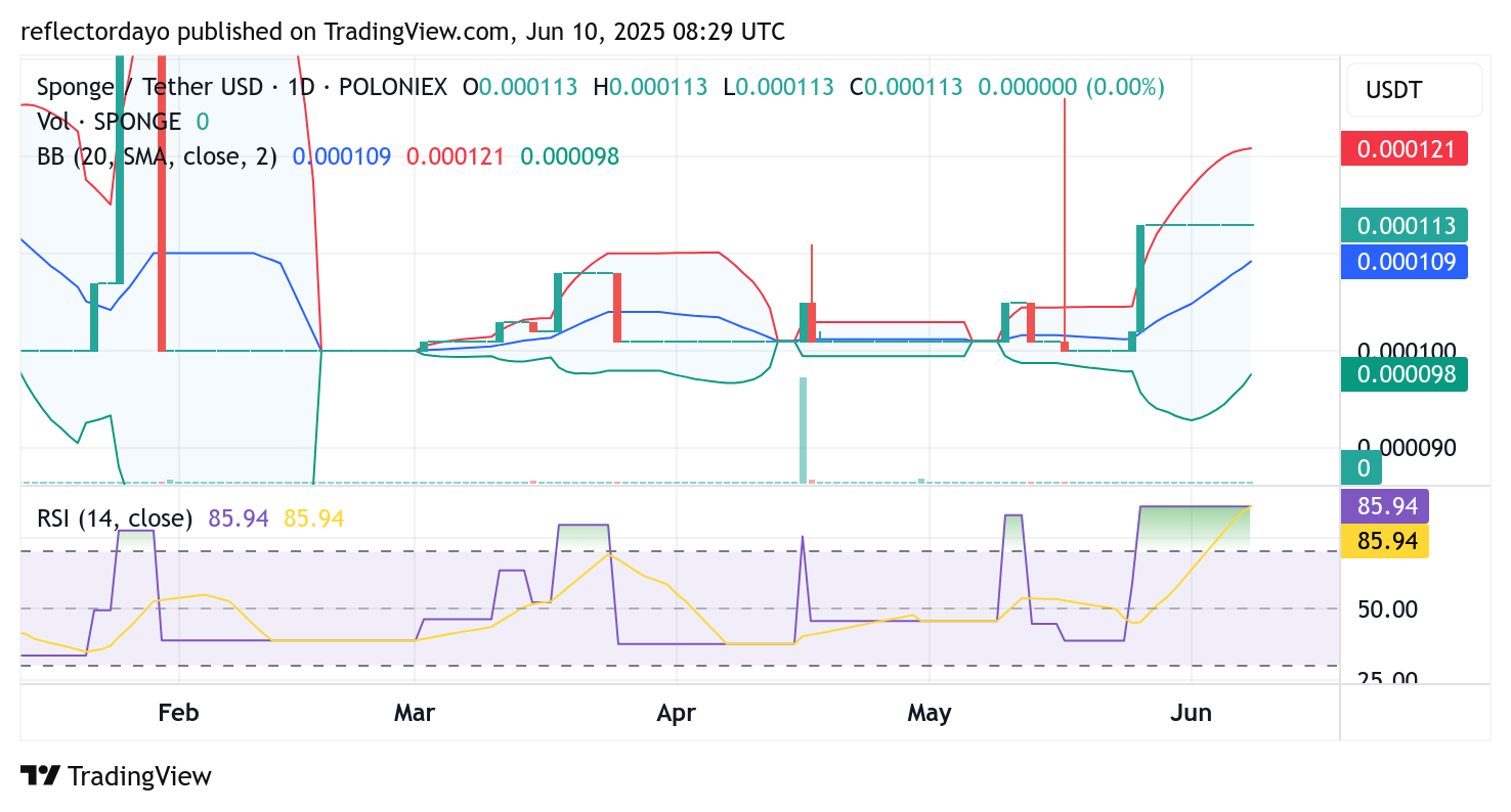 SPONGE/USD ($SPONGE) Poised for Next Major Move as Key Support Holds