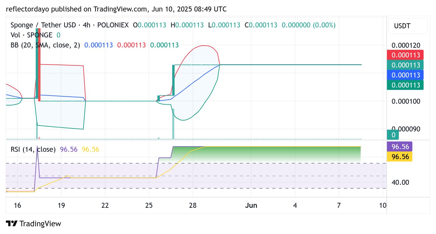 SPONGE/USD ($SPONGE) Poised for Next Major Move as Key Support Holds