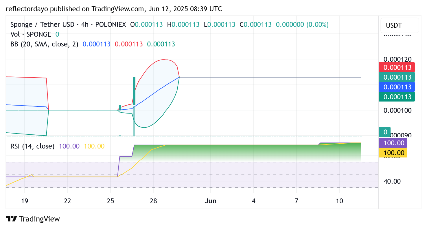 SPONGE/USD ($SPONGE) Maintains Critical Support as Market Eyes Next Major Move