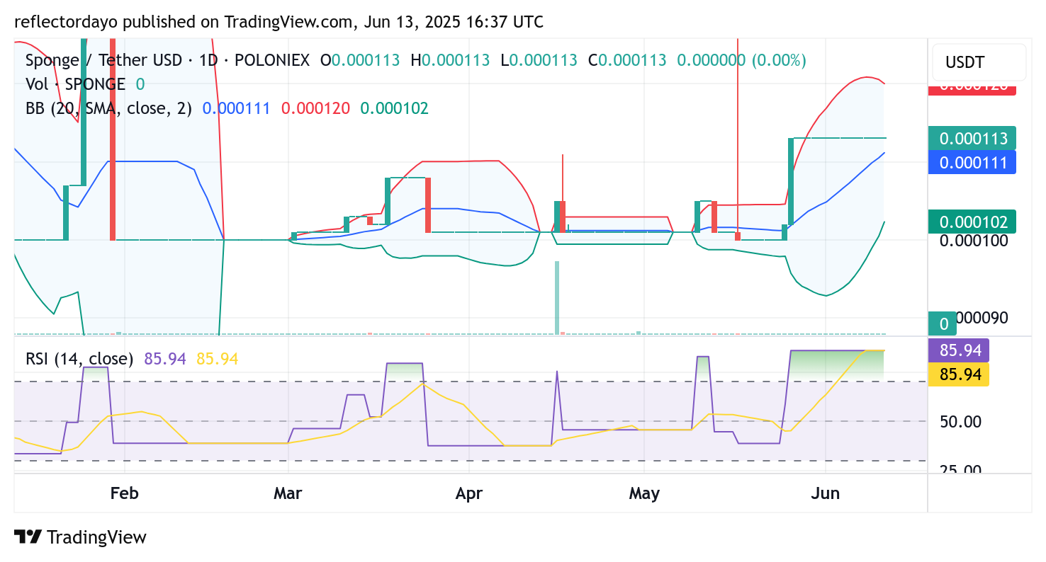 $SPONGE (SPONGE/USD) at a Crossroads: Bulls Defend Key Support, Signaling Potential for Imminent Price Surge