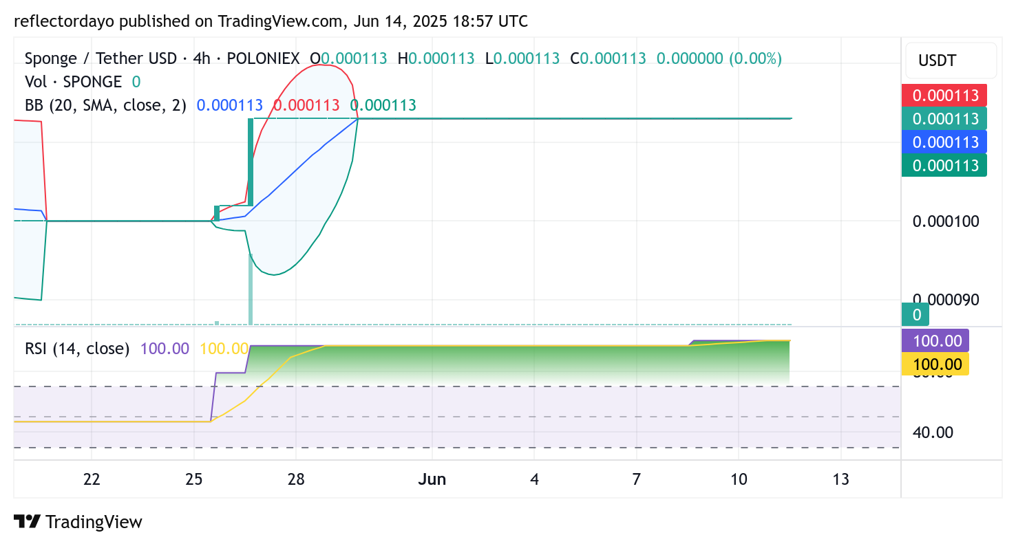 $SPONGE (SPONGE/USD) at a Pivotal Juncture: Bulls Hold Strong, Poised for a Major Breakout?