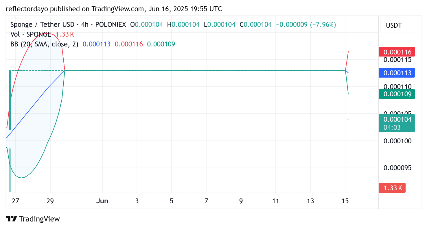 $SPONGE (SPONGE/USD) Builds Bullish Momentum with Higher Low Formation