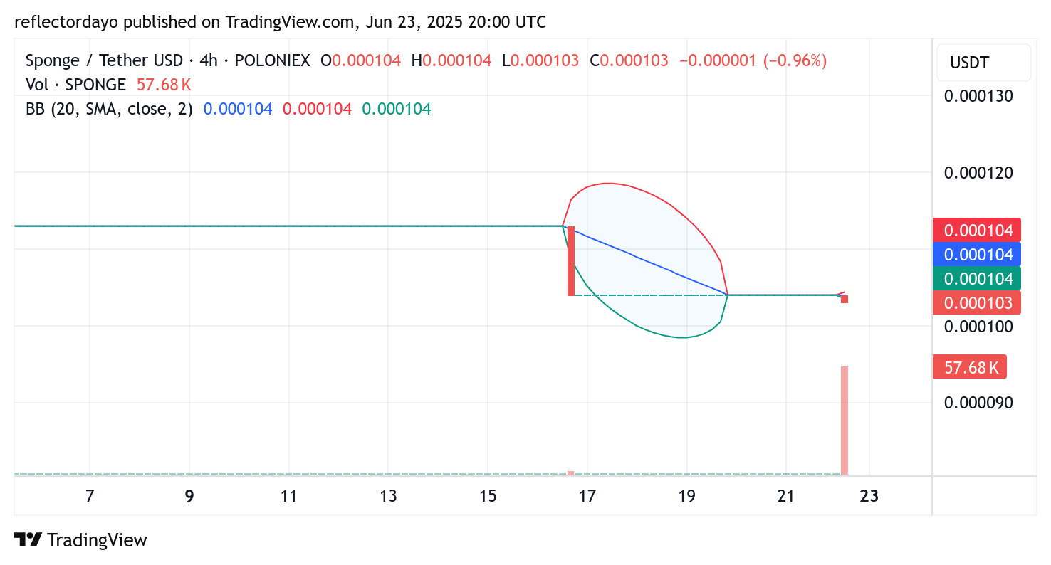 $SPONGE (SPONGE/USD) Faces Bearish Test as Key Support Falters