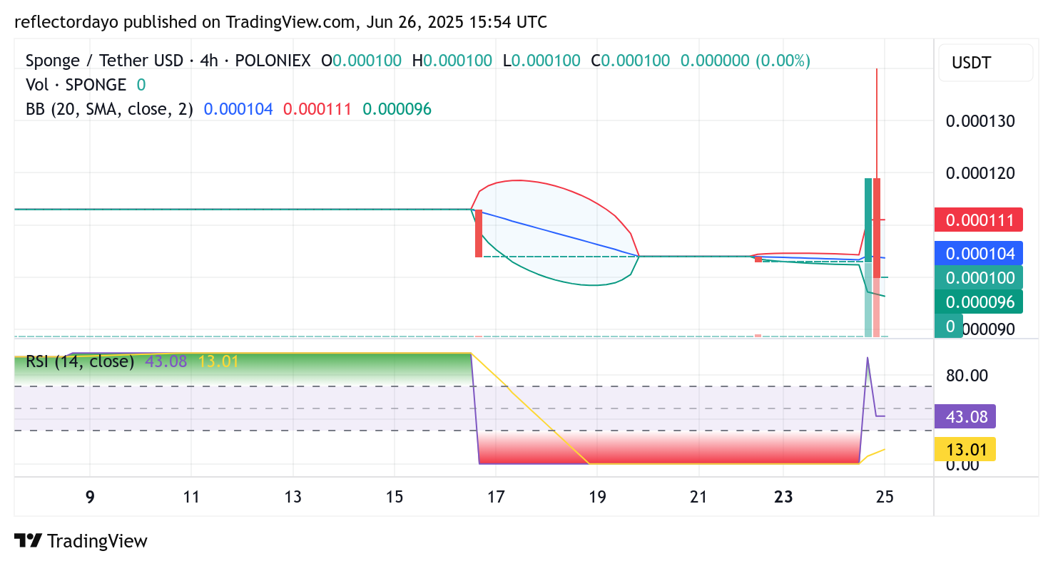 SPONGE/USD ($SPONGE): Bullish Rejection at $0.000140 – What's Next?