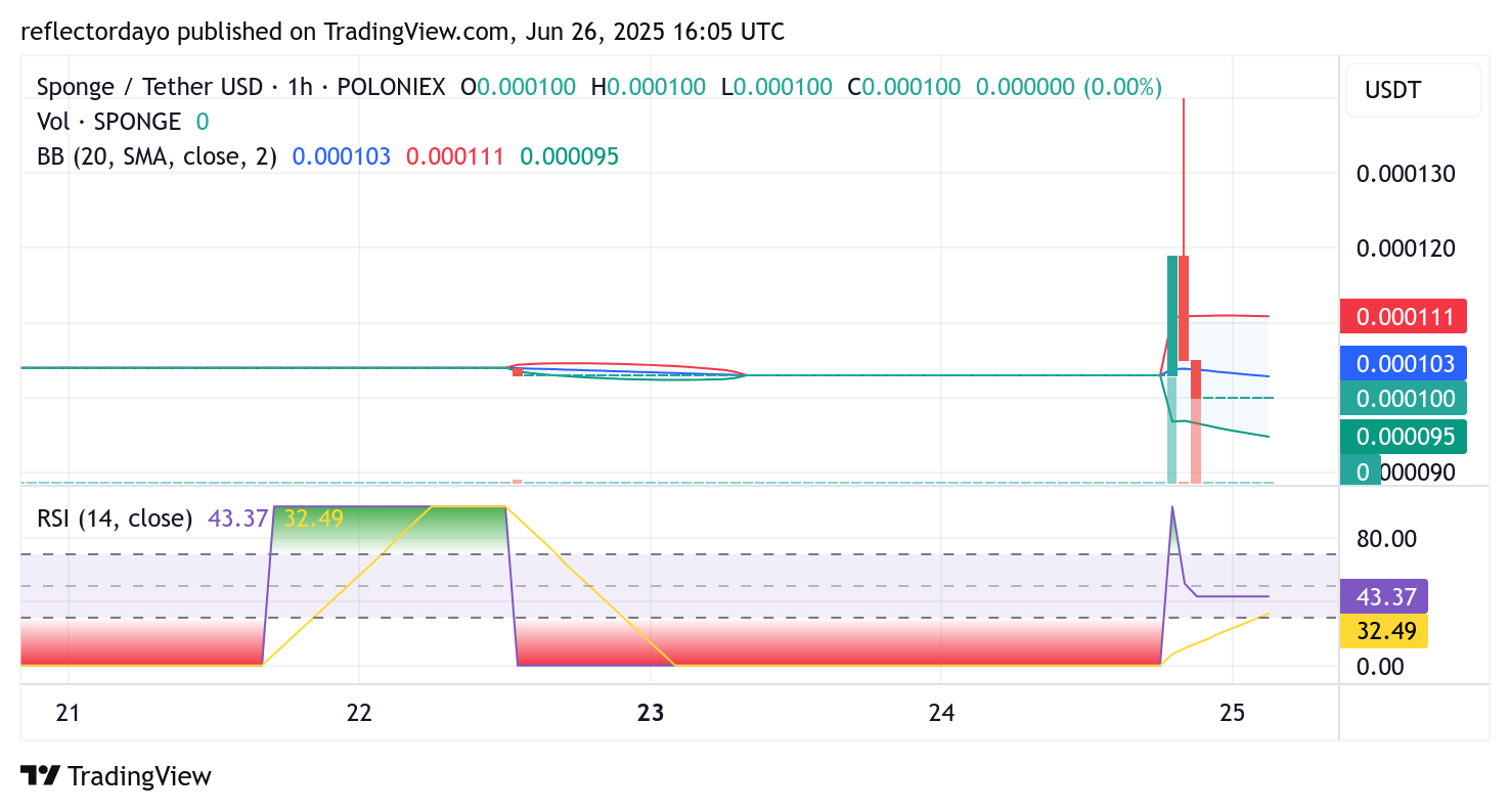 SPONGE/USD ($SPONGE): Bullish Rejection at $0.000140 – What's Next?