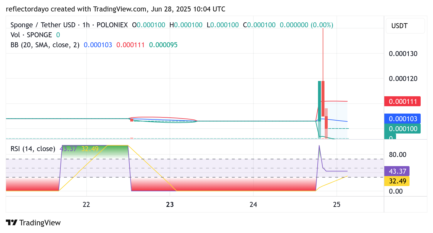 SPONGE/USD ($SPONGE) Maintains Support at the $0.0001 Level