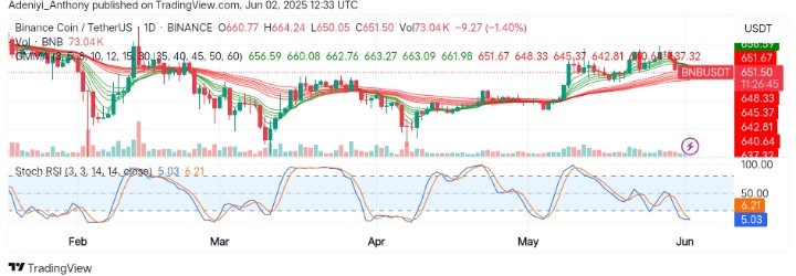 BNB (BNB/USDT) Bulls Defend Key Support Amid Close Compression