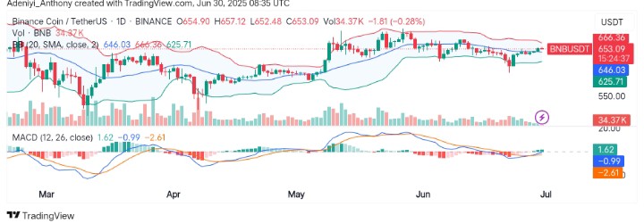 BNB (BNB/USDT) Stays Strong While Market Awaits Breakout Move