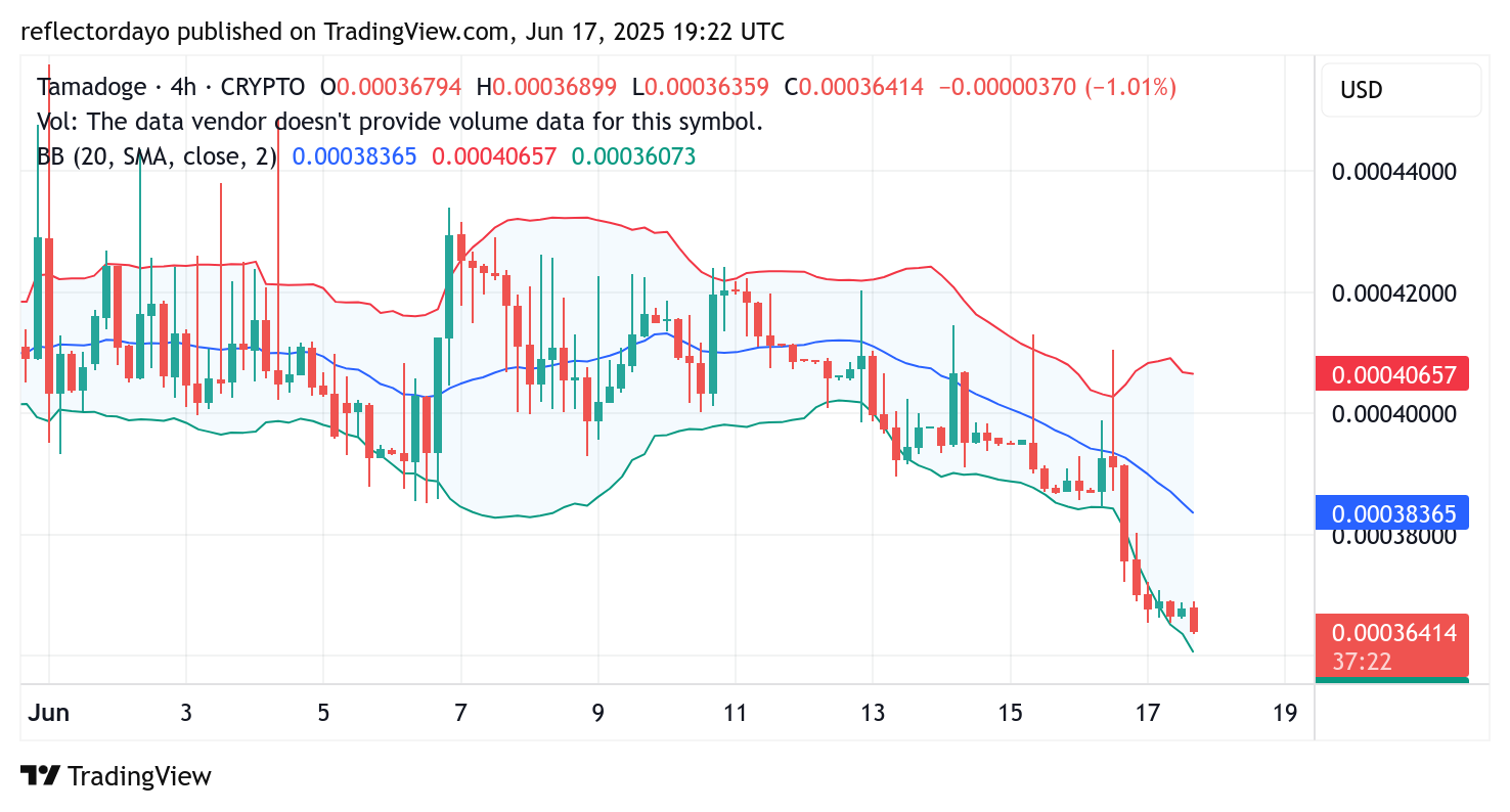 Tamadoge (TAMA/USD) Eyes Potential Rebound at $0.00036 Amid Rising Volatility