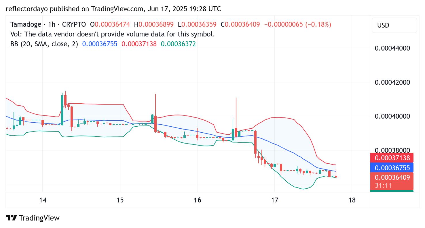 Tamadoge (TAMA/USD) Eyes Potential Rebound at $0.00036 Amid Rising Volatility