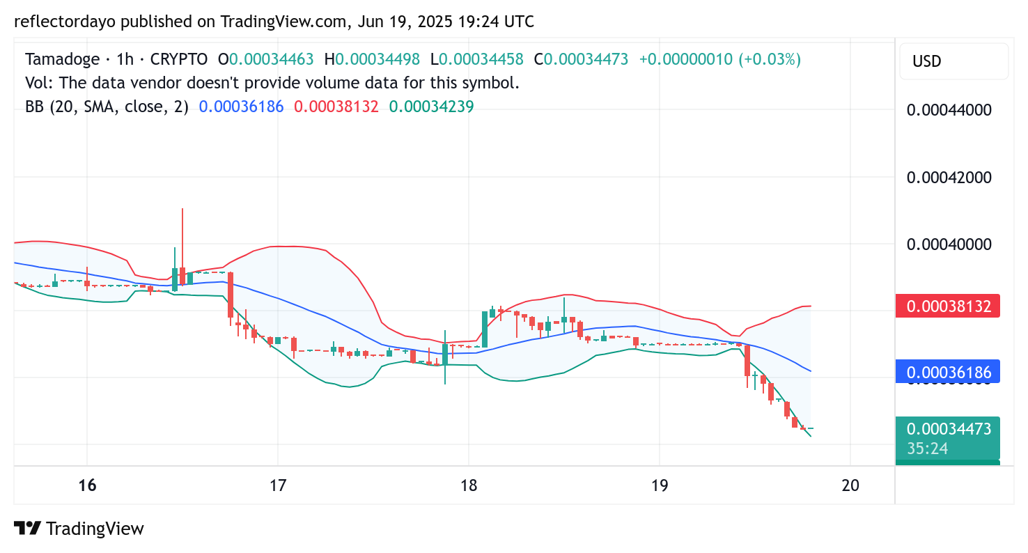 Tamadoge (TAMA/USD) Eyes Potential Rebound at $0.00034 Amid Sustained Downward Volatility