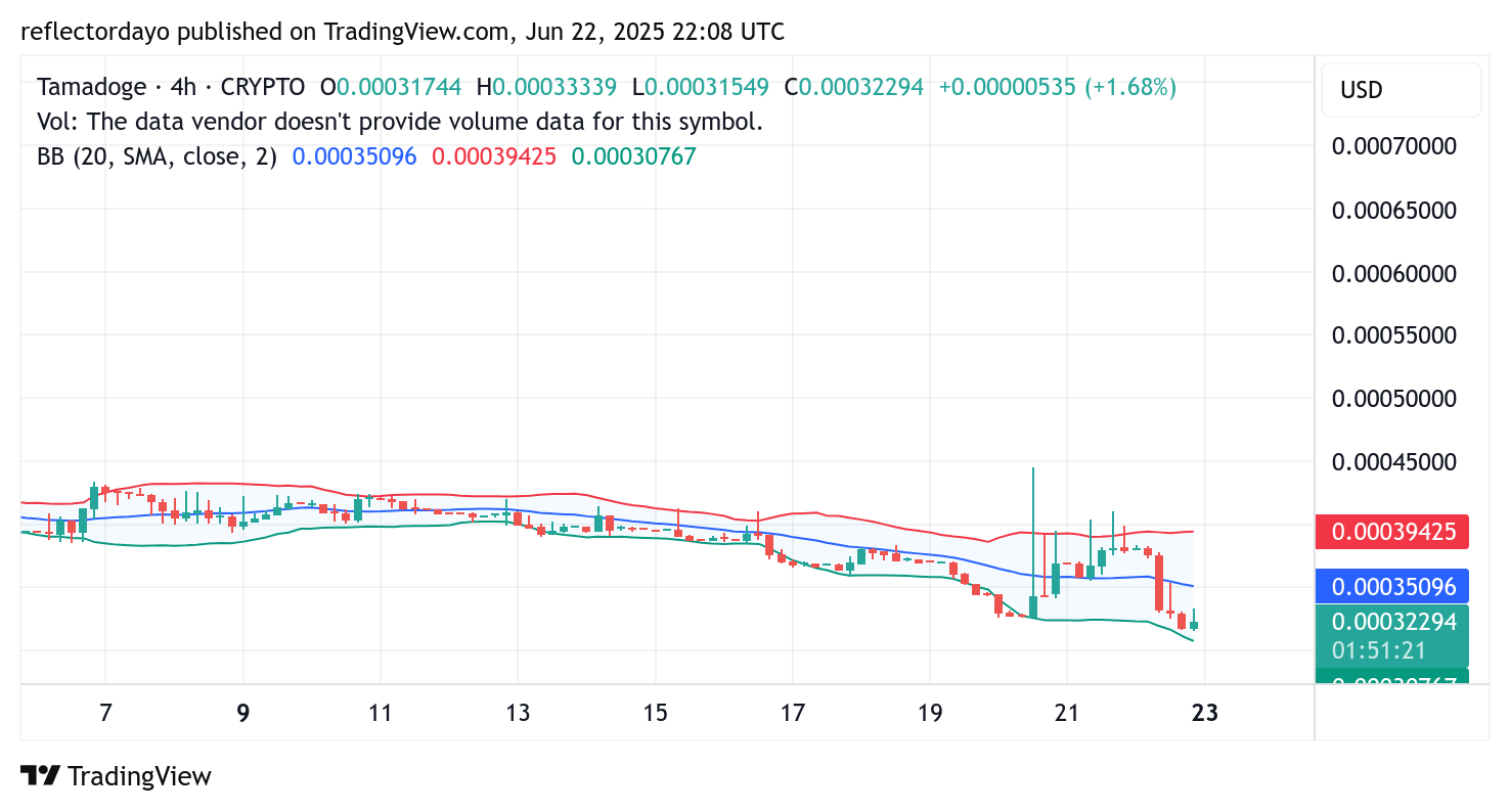 Tamadoge (TAMA/USD) Bulls Face Setback After Rejection at $0.00045