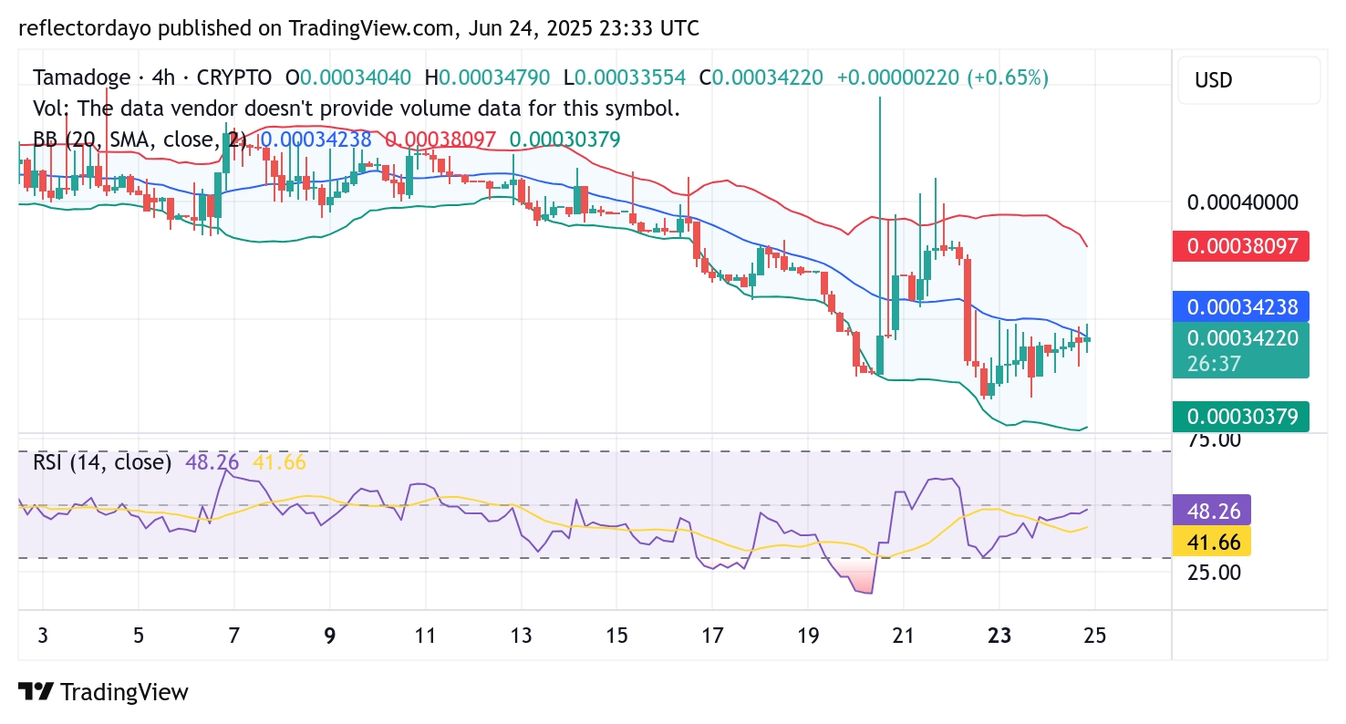 Tamadoge (TAMA/USD) Bulls Still Eyeing Recovery Toward $0.0004