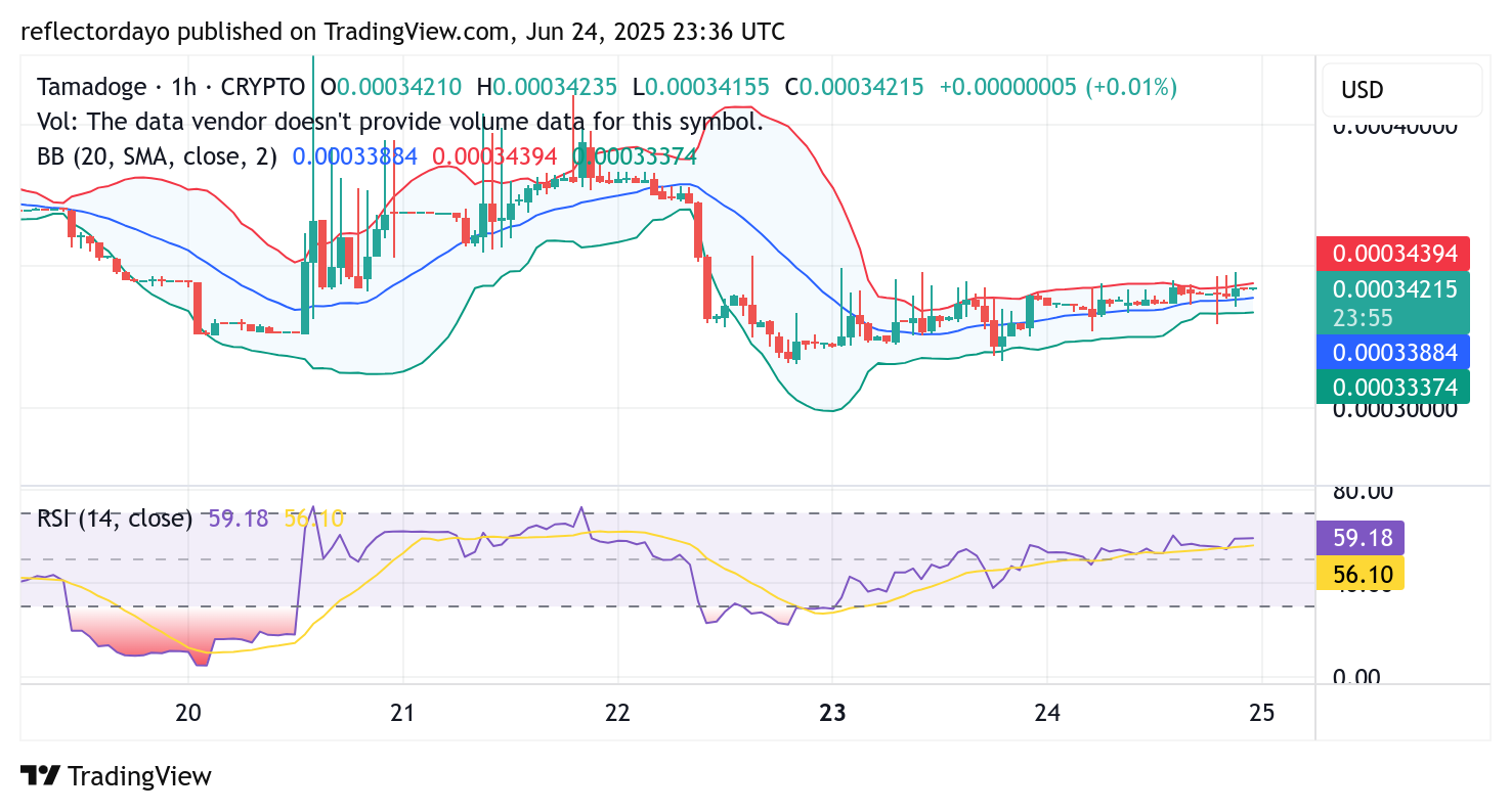 Tamadoge (TAMA/USD) Bulls Still Eyeing Recovery Toward $0.0004