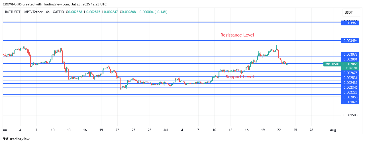 IMPTUSDT Price Is Rising as More Investors Join