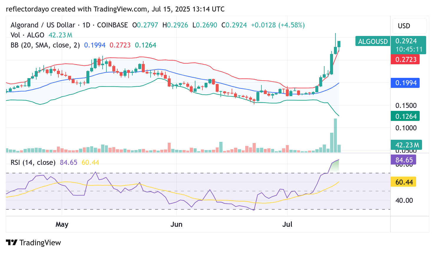 Algorand Market (ALGO/USD) Ascent Hits Resistance: Is a Price Correction Brewing at $0.30?