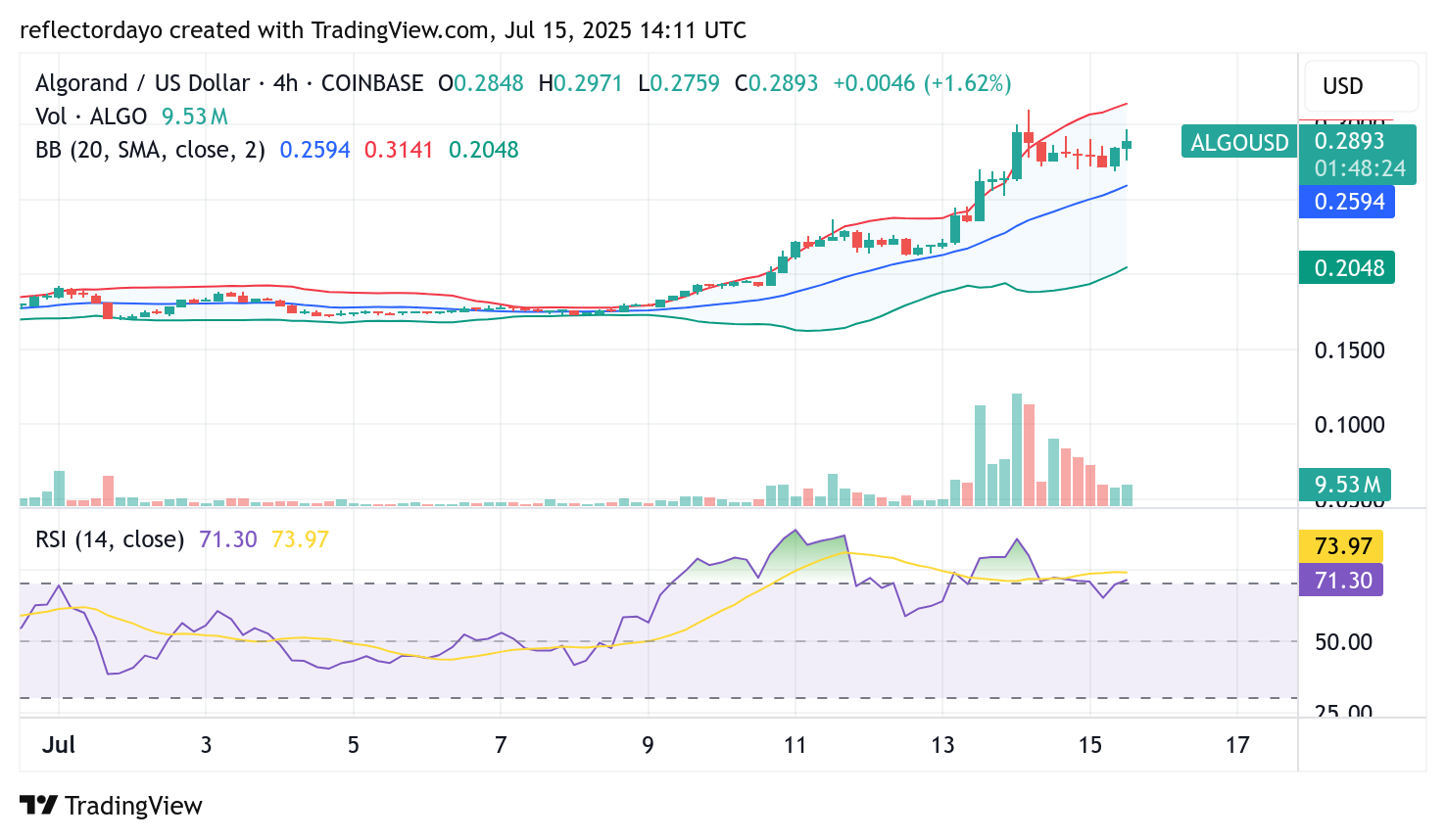 Algorand Market (ALGO/USD) Ascent Hits Resistance: Is a Price Correction Brewing at $0.30?