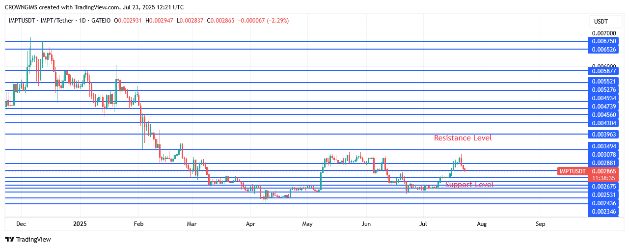 IMPTUSDT Price Is Rising as More Investors Join
