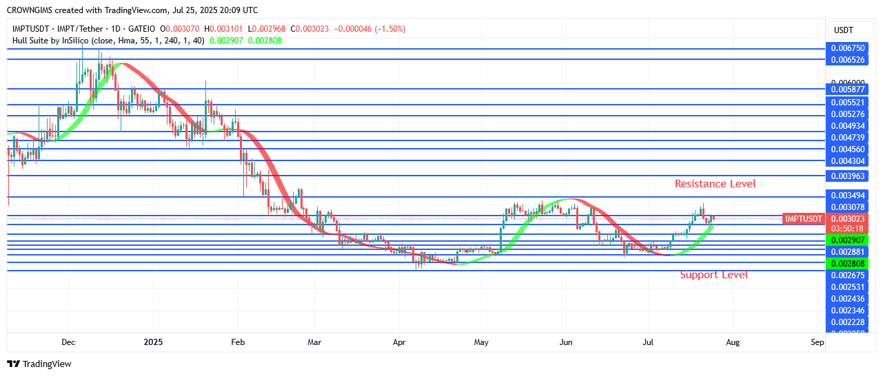 IMPTUSDT Price May Rise Above $0.0034 Point