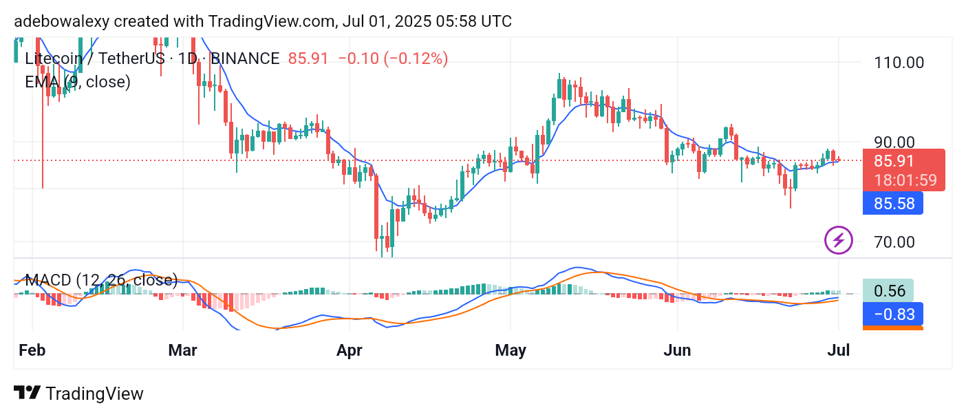 Litecoin (LTC) Price Prediction: LTC/USDT Bounces Back but Hovers Above Key Levels