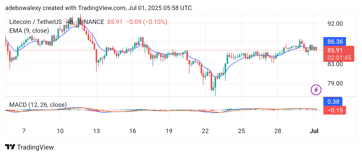 Litecoin (LTC) Price Prediction: LTC/USDT Bounces Back but Hovers Above Key Levels