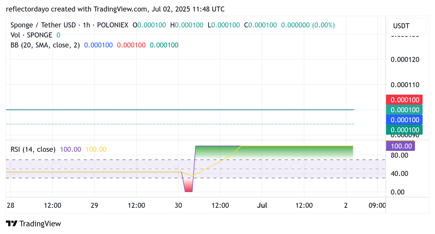 $SPONGE/USD Holds Strong at $0.0001 as Traders Anticipate a Bullish Breakout