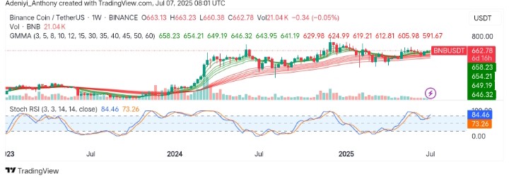 BNB (BNB/USDT) Builds Support While Buyers Push Toward Resistance
