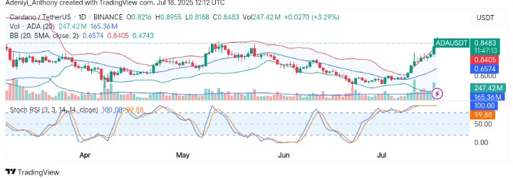 Cardano (ADA/USDT) Shows Strong Rebound as Bulls Challenge Key Resistance Zones